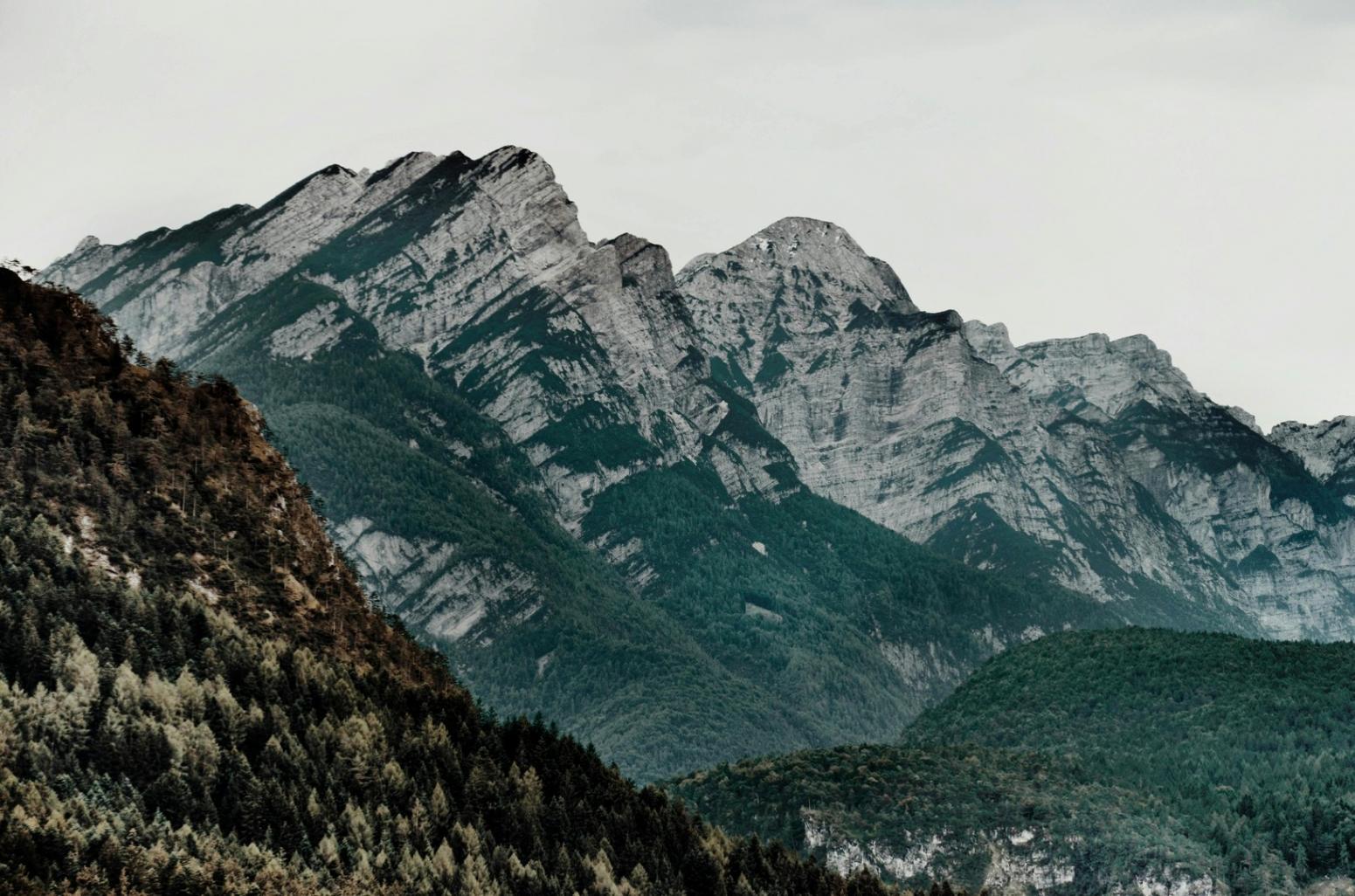Современные программы развития карьеры